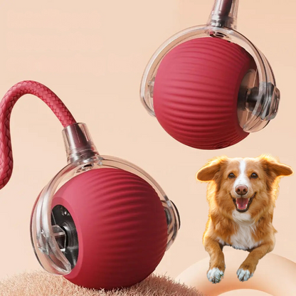 Balle Furie Sauvage™ - Jouet interactif à queue